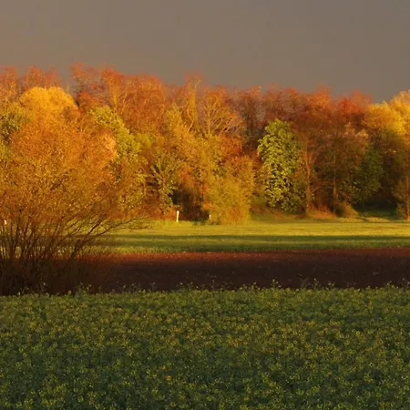 Διαμέρισμα Maria Bad Schonborn