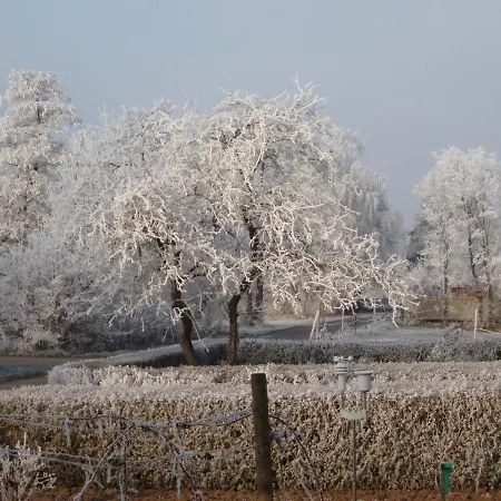 Διαμέρισμα Maria *