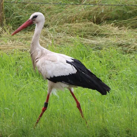 Maria Διαμέρισμα Bad Schonborn