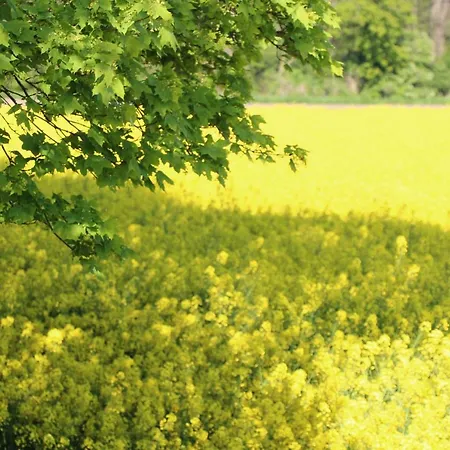 Διαμέρισμα Maria *