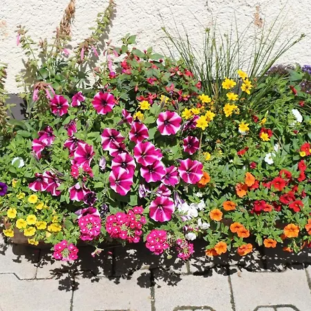 Διαμέρισμα Maria *